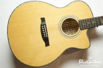 SE A50E - Back Gold Burst