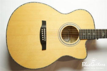 SE A50E - Back Gold Burst