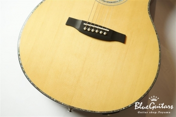 SE A50E - Back Gold Burst