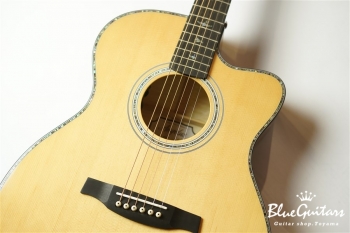 SE A50E - Back Gold Burst