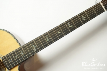 SE A50E - Back Gold Burst