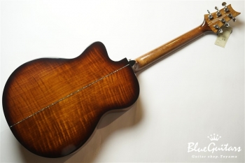 SE A50E - Back Gold Burst