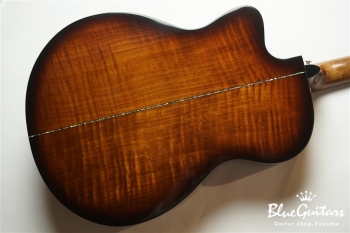 SE A50E - Back Gold Burst