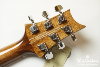 SE A50E - Back Gold Burst