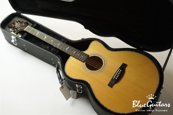 SE A50E - Back Gold Burst