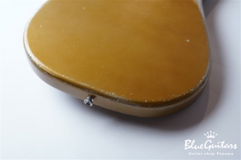 IRIS #068 - Aztec Gold over Silver