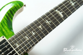 35th Anniversary Custom 24 - Emerald