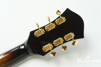 Ladybug SM-C HB - Vintage Sunburst