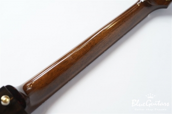 Ladybug 2020 Ziricote DHB - Natural