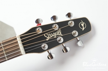 Entourage Folk - Burnt Umber QIT