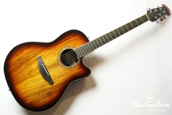 The Celebrity CS28P - KOA-BURST