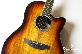 The Celebrity CS28P - KOA-BURST
