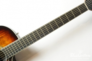 The Celebrity CS28P - KOA-BURST