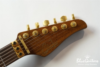 Reb Beach Model / Curly Koa body & Pau Ferro Neck