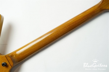 2016 Explorer - Antique Natural