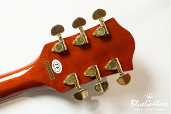 G5022CE Rancher Jumbo Cutaway Electric