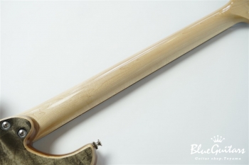 Amnis Novus - Suiboku