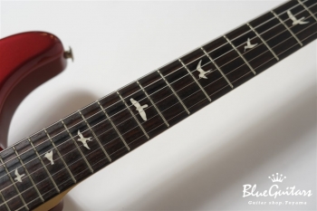 Silver Sky - Horizon John Mayer Signature Model