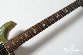 CUSTOM 24 - Trampas Green