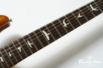 CE 24 - Vintage Sunburst