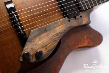 Arcus Thinbody Archtop - Organic Texture