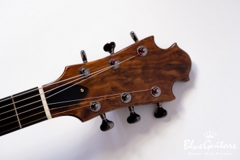 Arcus Thinbody Archtop - Organic Texture