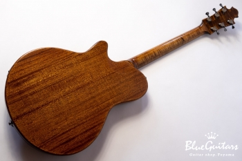 Arcus Thinbody Archtop - Organic Texture