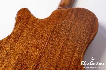 Arcus Thinbody Archtop - Organic Texture