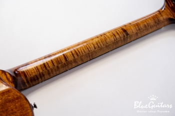 Arcus Thinbody Archtop - Organic Texture