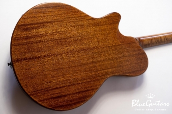 Arcus Thinbody Archtop - Organic Texture