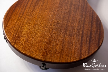 Arcus Thinbody Archtop - Organic Texture