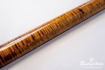 Arcus Thinbody Archtop - Organic Texture