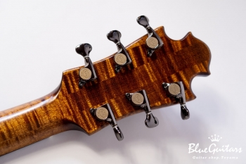 Arcus Thinbody Archtop - Organic Texture