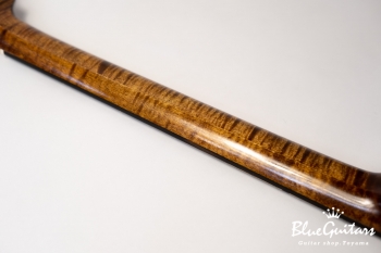 Arcus Thinbody Archtop - Organic Texture