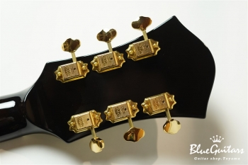 Ladybug SM-TBC DHB - Vintage Sunburst