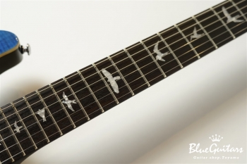 SE Custom 24 - Sapphire