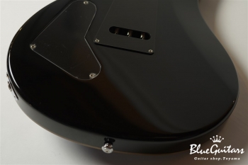 SE Custom 24 - Sapphire