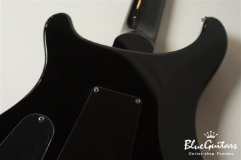 SE Custom 24 - Sapphire