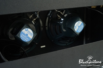 Custom Vibrolux Reverb