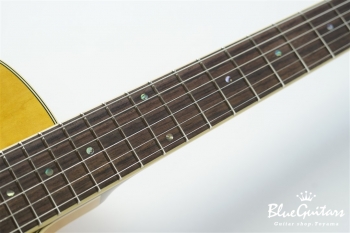 Ladybug-CB CM HB/SS #385 - Vintage Amber