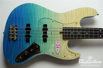 WL-434S FM-ALD - BLU-GRD