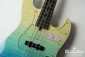 WL-434S FM-ALD - BLU-GRD