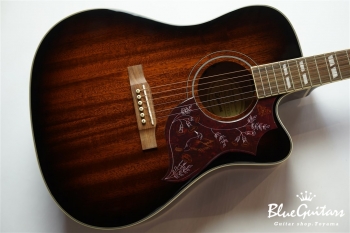 Hummingbird Pro Cutaway