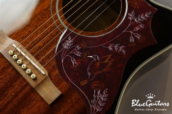 Hummingbird Pro Cutaway