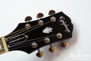 Hummingbird Pro Cutaway