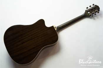 Hummingbird Pro Cutaway