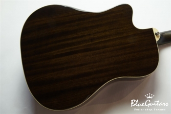 Hummingbird Pro Cutaway