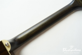 Hummingbird Pro Cutaway