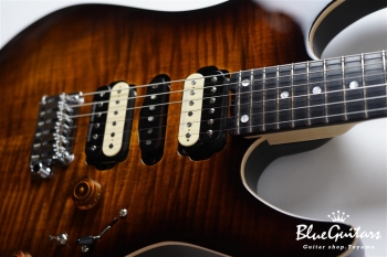 NV-3-24-AL-VTR - Bengal Burst #S2006143