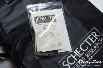 NV-3-24-AL-VTR - Bengal Burst #S2006143